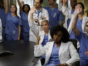 Grey's Anatomy TV show on ABC: season 13 (canceled or renewed?)