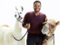 Animal Nation with Anthony Anderson TV show on Animal Planet: season 1 (canceled or renewed?)