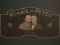 Horace and Pete TV show on Hulu: season 1 (canceled or renewed?)