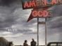 American Gods TV show on Starz: season 1 release date; premiere (canceled or renewed?)