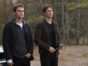 The Vampire Diaries TV show on The CW: series finale, no season 9 (canceled or renewed?)