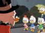 DuckTales TV show on Disney XD: season 2 renewal (canceled or renewed?)