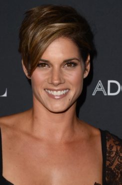 Van Helsing: Missy Peregrym Joins Season Two of Syfy Series - canceled