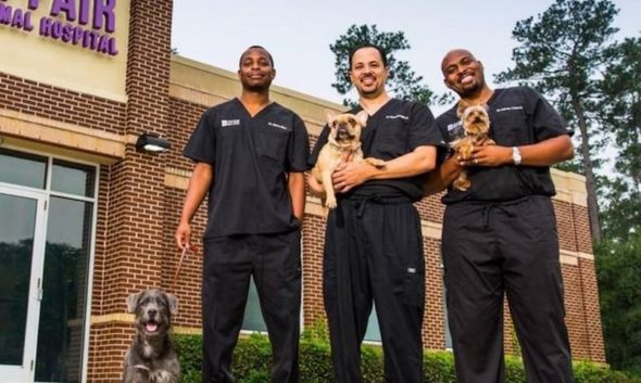 The Vet Life: Season Three Follows the Aftermath of Hurricane Harvey