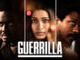 Guerrilla TV show on Showtime: season 1 ratings (canceled or season 2?)