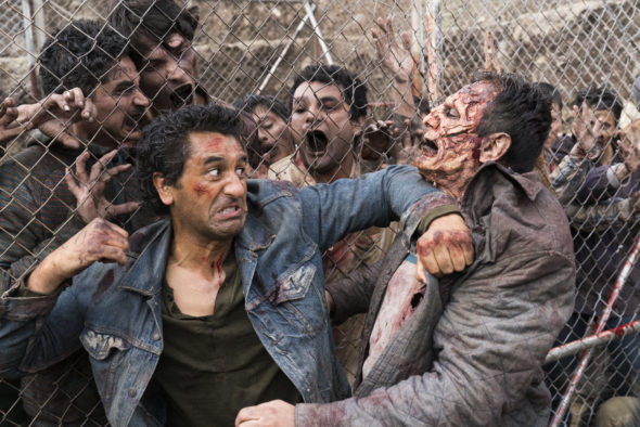 Fear the Walking Dead TV show on AMC: canceled or season 4? (release date)