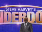 Steve Harvey's Funderdome TV show on ABC: canceled or season 2? (release date)