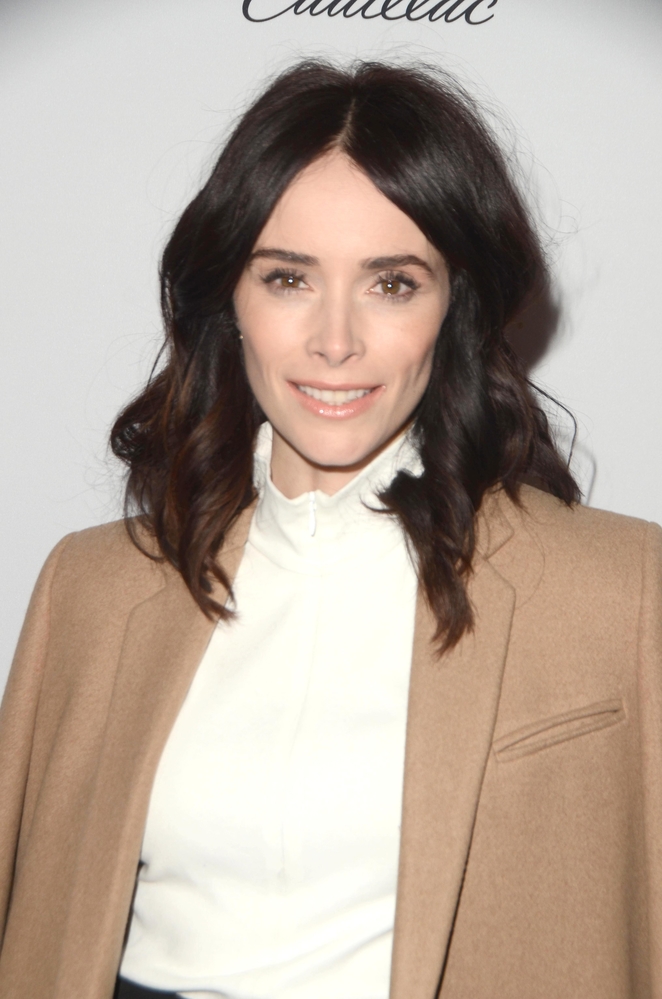 Grey's Anatomy Abigail Spencer (Timeless) Joins Season 14 for Recast
