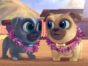 Puppy Dog Pals TV show on Disney Junior: (canceled or renewed?)