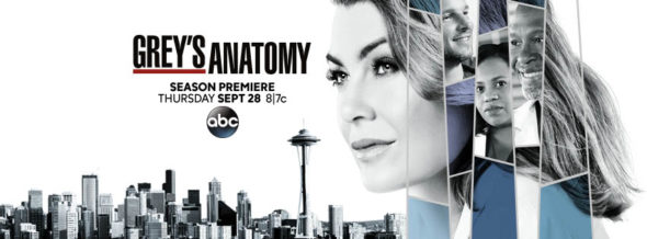 Grey's Anatomy TV show on ABC: season 14 ratings (cancel or renew for season 15?)