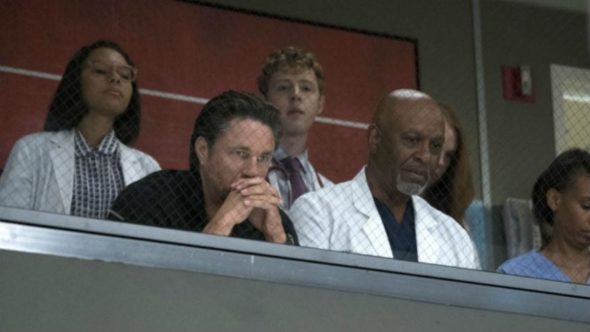 The television vulture is watching the Greys Anatomy TV show on ABC: canceled or season 15? (release date); Vulture Watch