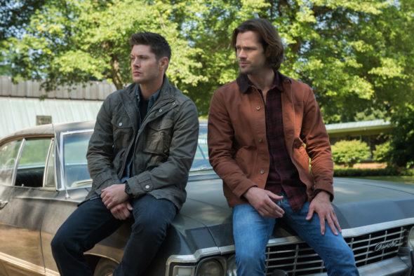 Supernatural TV show on The CW: season 13 viewer votes episode ratings (cancel renew season 14)