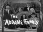 The Addams Family TV show: (canceled or renewed?)
