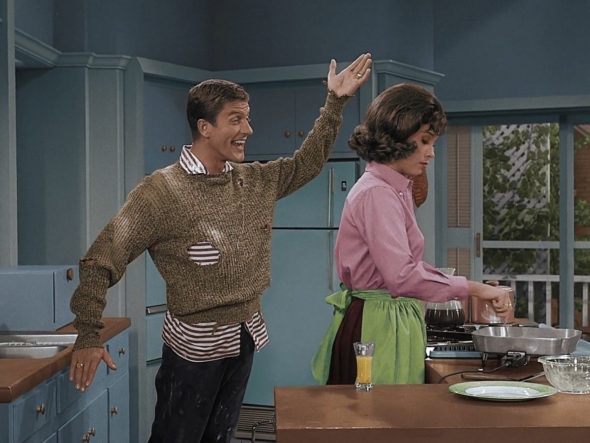 mary tyler moore dick van dyke