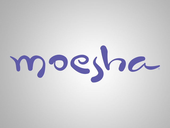 Moesha TV Show: canceled or renewed?