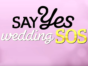 Say Yes: Wedding SOS TV show on TLC: (canceled or renewed?)