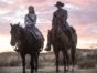 Westworld TV show on HBO: canceled or season 3? (release date); Vulture Watch