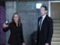 The X-Files TV Show: canceled or renewed?