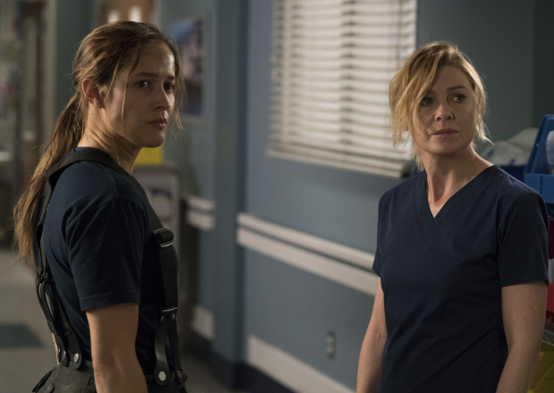 Station 19, Grey's Anatomy: ABC Announces Crossover Event - canceled