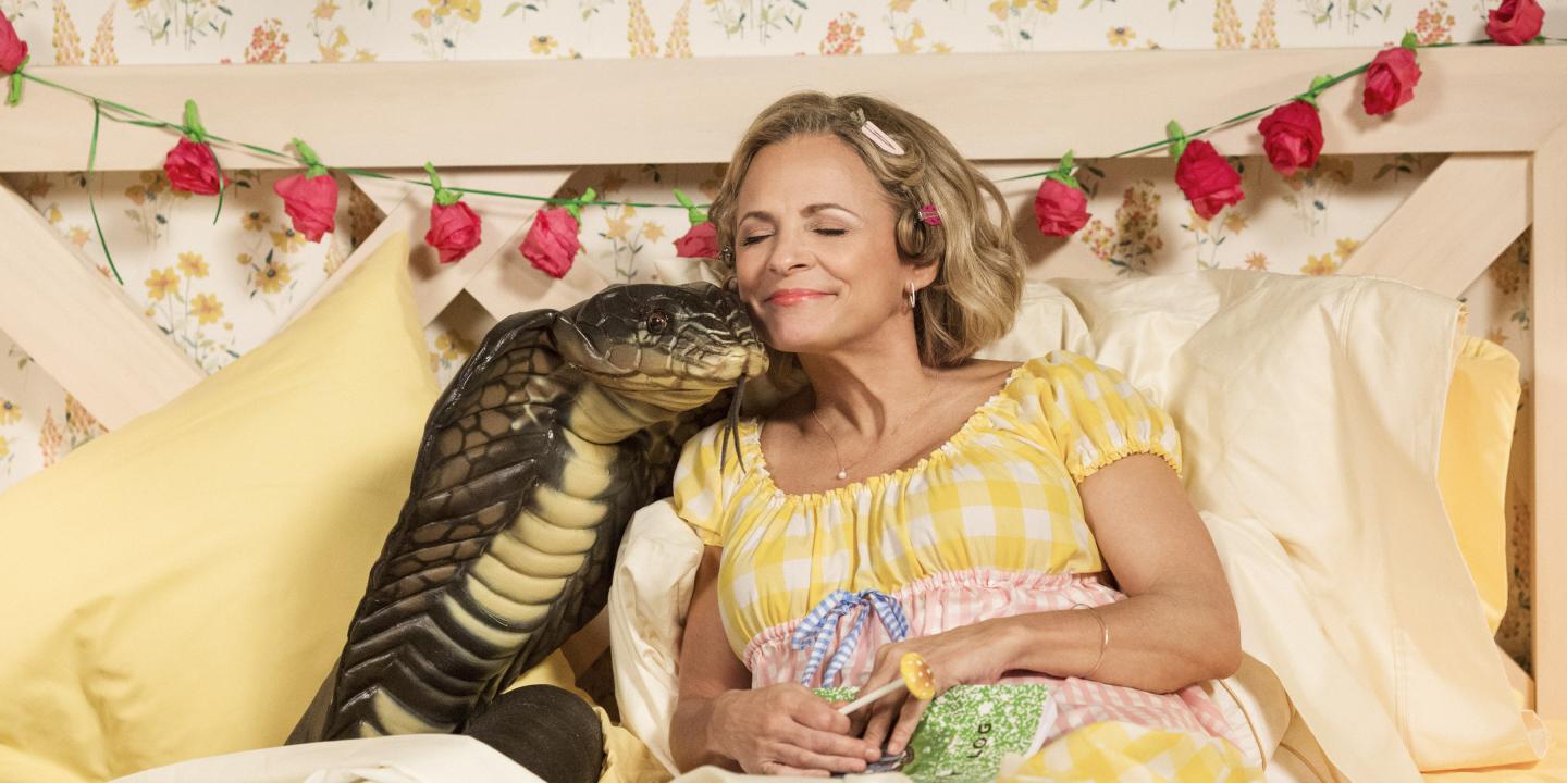 At Home With Amy Sedaris Season Two Renewal For Trutv Series Canceled Renewed Tv Shows Tv Series Finale