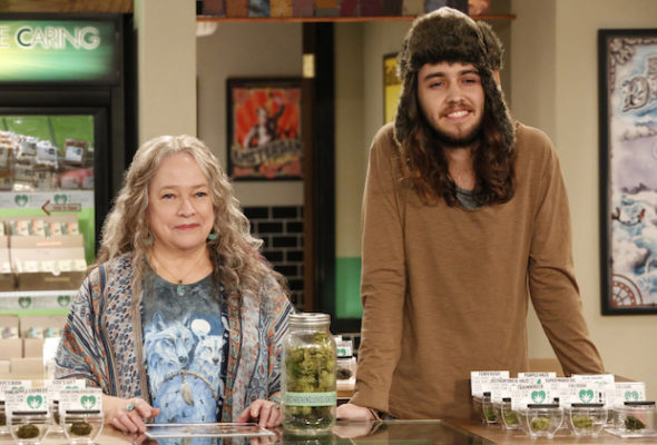 Disjointed TV show on Netflix: season 2 viewer votes episode ratings (canceled or renewed season 3?)