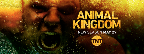 Animal Kingdom TV show on TNT: season 3 ratings (canceled or renewed season 4?)