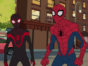 Marvel's Spider-Man TV show on Disney XD: (canceled or renewed?)