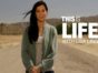 This Is Life with Lisa Ling TV show on CNN: (canceled or renewed?).