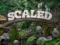 Scaled TV show on Animal Planet: (canceled or renewed?)