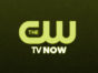 CW TV shows: ratings (cancel or renew?)