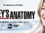 Grey's Anatomy TV show on ABC: season 15 ratings (cancel or renew?)