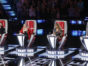 The Voice TV show on NBC: canceled or season 16? (release date); Vulture Watch