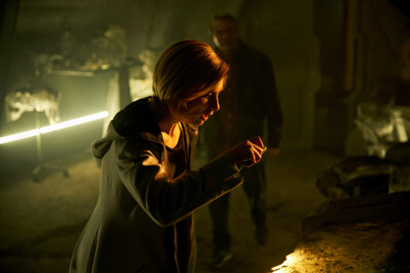 Doctor Who TV show on BBC America: season 11 viewer votes (cancel or renew season 12?)