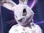 The Masked Singer TV show on FOX: (canceled or renewed?)
