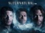 Supernatural TV show on The CW: season 14 ratings (canceled or renewed season 15?)