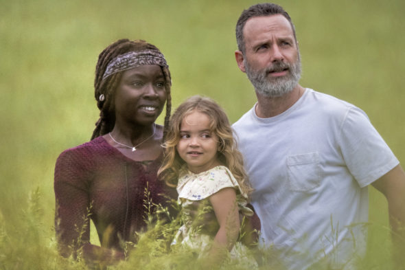 Streaming season 10 discount of the walking dead