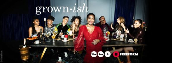 Grown-ish TV show on Freeform: season 2 ratings (canceled or renewed season 3?)