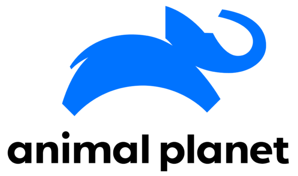 Animal Planet TV shows: canceled or renewed?