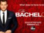 The Bachelor TV show on ABC: season 23 ratings (canceled or renewed season 24?)