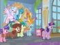 My Little Pony: Friendship Is Magic TV show on Discovery Family (canceled, no season 10)