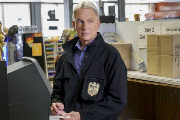 NCIS TV show on CBS: season 17 renewal for 2019-20