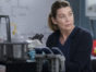 Grey's Anatomy TV show on ABC: season 16 renewal for 2019-20 season
