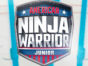 American Ninja Warriors Junior TV show on Universal Kids: (canceled or renewed?)