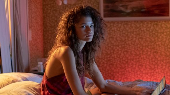 Euphoria TV Show on HBO: canceled or season 2? (release date); Vulture Watch
