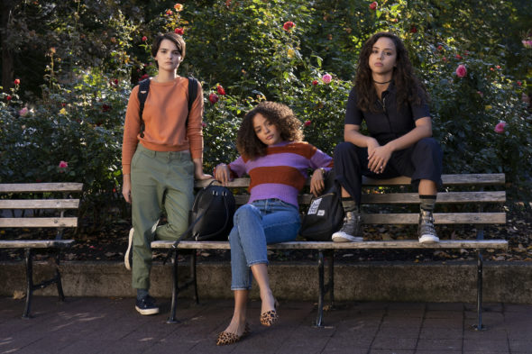 rinkets TV show on Netflix: canceled or renewed for another season?; Trinkets TV Series Description