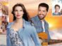 Chesapeake Shores TV show on Hallmark: season 4 ratings (canceled renewed season 5?)