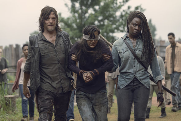 Geheugen Avondeten Ondenkbaar The Walking Dead: Season 11 Renewal Announced for AMC TV Series - canceled  + renewed TV shows - TV Series Finale