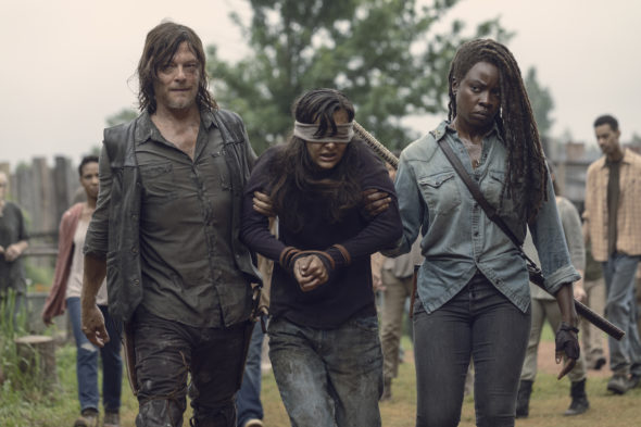 The Walking Dead TV show on AMC: (canceled or renewed?)