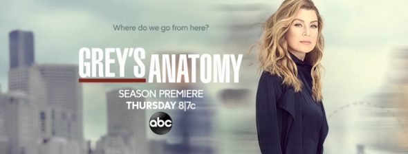 Grey's Anatomy TV show on ABC: season 16 ratings (cancel or renew?)