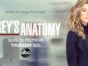 Grey's Anatomy TV show on ABC: season 16 ratings (cancel or renew?)